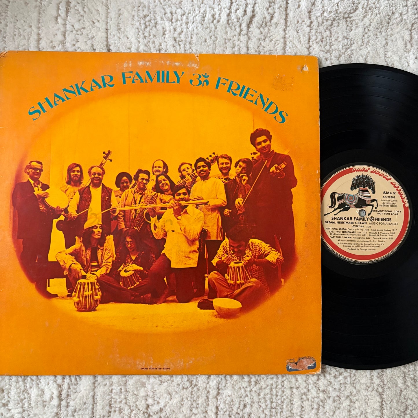 Shankar Family & Friends