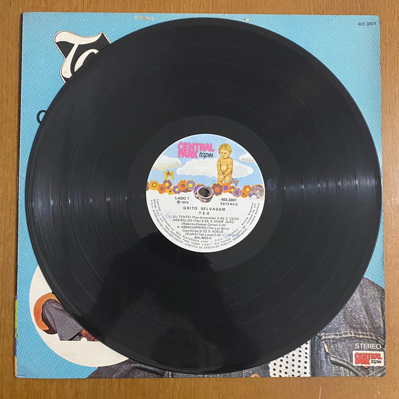 Teo Azevedo - Grito Selvagem (1974 Brazil Press)
