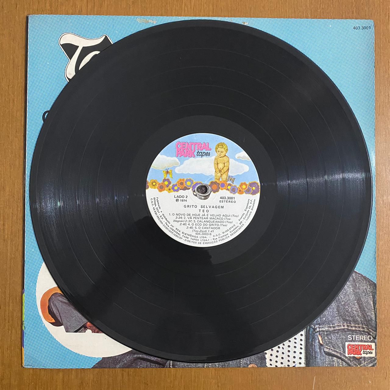 Teo Azevedo - Grito Selvagem (1974 Brazil Press)